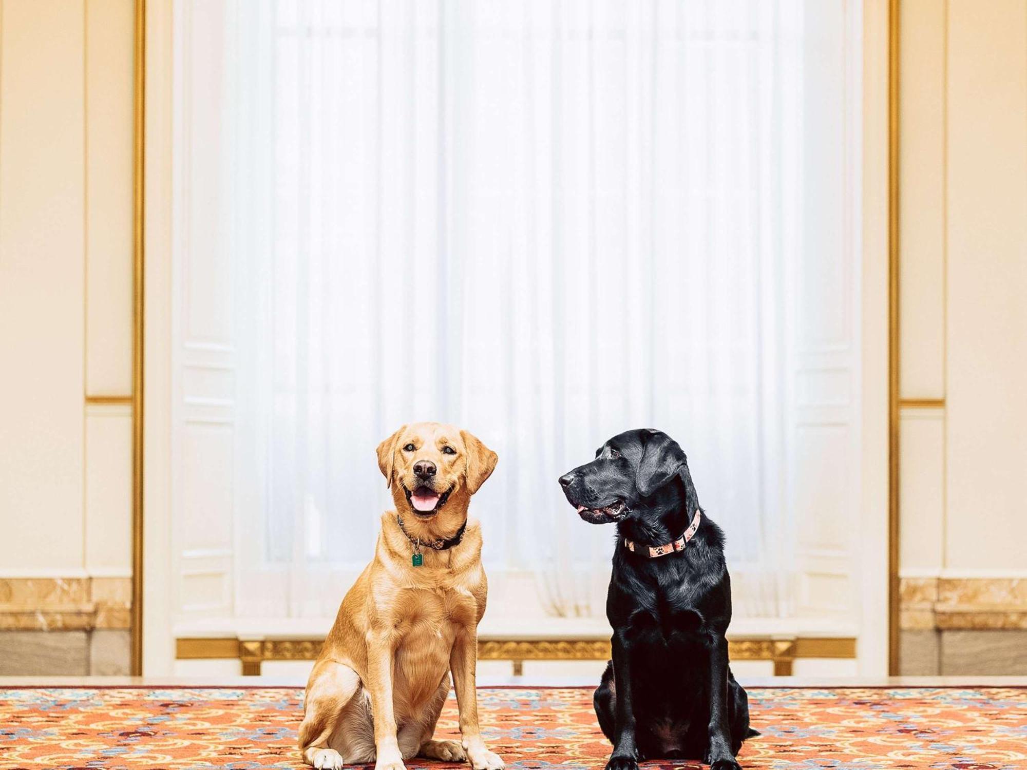 Fairmont Hotel Vancouver Exteriör bild Sunny and Bo